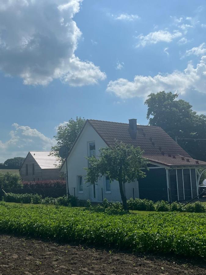 Ferienhaus Muschel Kalkhorst Buitenkant foto